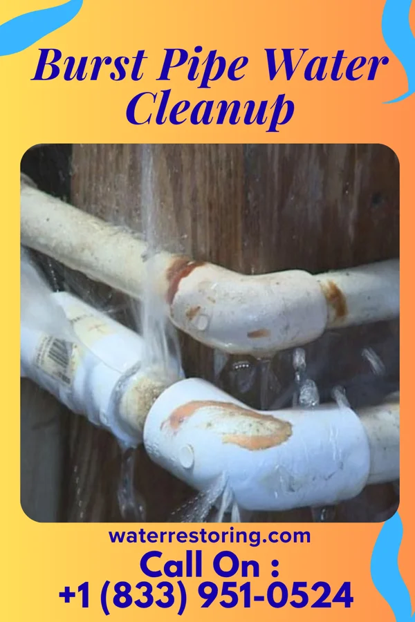Burst Pipe Water Cleanup in McGuffey, OH