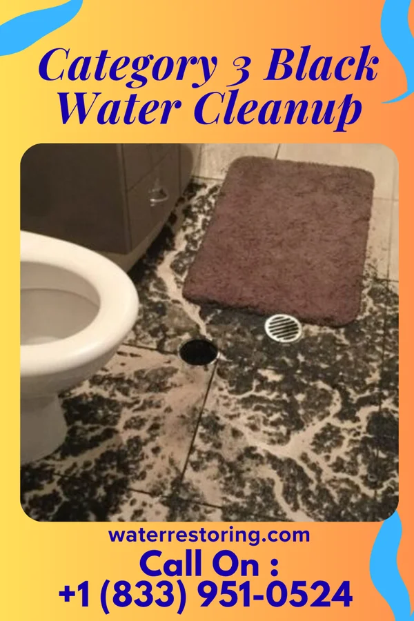 Category 3 Black Water Cleanup in McGuffey, OH