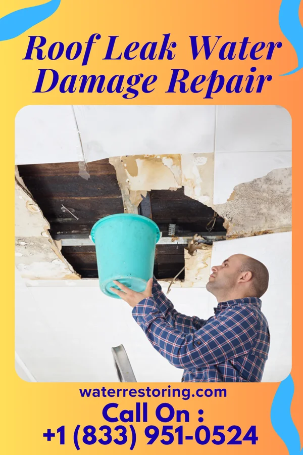 Roof Leak Water Damage Repair in McGuffey, OH